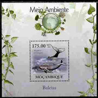 Mozambique 2010 The Environment - Whales perf souvenir sheet unmounted mint Michel BL 312