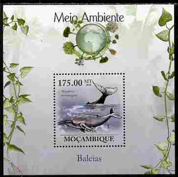 Mozambique 2010 The Environment - Whales perf souvenir sheet unmounted mint Michel BL 312