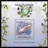 Mozambique 2010 The Environment - Seals & Sea Lions perf souvenir sheet unmounted mint Michel BL 310