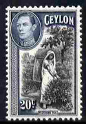 Ceylon 1938-49 KG6 Plucking Tea 20c unmounted mint, SG 391