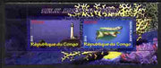 Congo 2010 Lighthouses & Marine Fauna #1 perf sheetlet containing 2 values unmounted mint