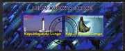 Congo 2010 Lighthouses & Marine Fauna #4 perf sheetlet containing 2 values fine cto used