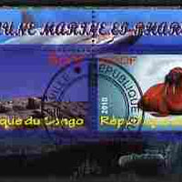 Congo 2010 Lighthouses & Marine Fauna #5 perf sheetlet containing 2 values fine cto used