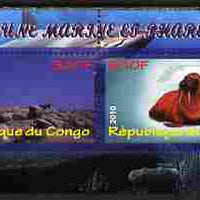 Congo 2010 Lighthouses & Marine Fauna #5 perf sheetlet containing 2 values unmounted mint