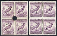 Newfoundland 1941-44 KG6 Reindeer 5c in perf & imperf proof blocks of 4 from Waterlow archives, each stamp with security punch hole, SG280 some wrinkling