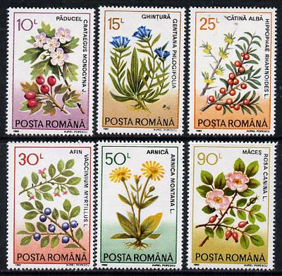 Rumania 1993 Medicinal Plants set of 6 unmounted mint, SG 5501-06, Mi 4866-71*