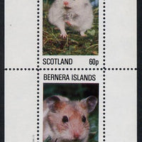 Bernera 1982 Rodents #1 perf,set of 2 values (40p & 60p) unmounted mint