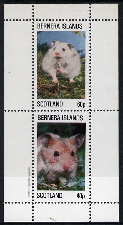 Bernera 1982 Rodents #1 perf,set of 2 values (40p & 60p) unmounted mint