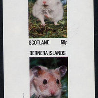 Bernera 1982 Rodents #1 imperf,set of 2 values (40p & 60p) unmounted mint