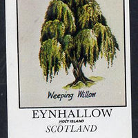 Eynhallow 1982 Trees (Weeping Willow) imperf souvenir sheet (£1 value) unmounted mint