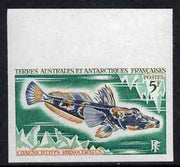 French Southern & Antarctic Territories 1971 Long-nosed Icefish 5f IMPERF single unmounted mint, as SG 61