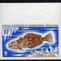 French Southern & Antarctic Territories 1971 Marbled rockcod 10f IMPERF single unmounted mint, as SG 62