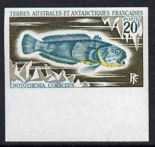 French Southern & Antarctic Territories 1971 Antarctic rockcod 20f IMPERF single unmounted mint, as SG 63