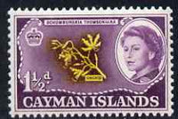 Cayman Islands 1962-64 Orchid 1.5d unmounted mint, SG 167