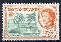 Cayman Islands 1962-64 Swimming Pool 1s3d unmounted mint, SG 175