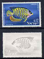 Israel 1963 Fish 12a with fne offset of black on gummed side, unmounted mint and most unusual