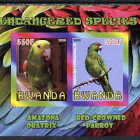 Rwanda 2009 Endangered Species - Oratrix & Red-Crowned Parrot imperf sheetlet containing 2 values unmounted mint