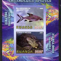 Rwanda 2009 Endangered Species - Pond Turtle & Silver Shark (inscribed Oratrix in error) imperf sheetlet containing 2 values unmounted mint