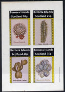 Bernera 1981 Cacti (Crown Cactus, Apple Cactus etc) imperf,set of 4 values (imprint in outer margin) unmounted mint