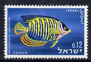 Israel 1962 Red Sea Fish 12a Angelfish with superb set-off of black, unmounted mint but creased, as SG 241