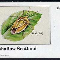 Eynhallow 1982 Insects (Shield Bug) imperf deluxe sheet (£2 value) unmounted mint