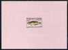 Senegal 1966 Wrasse Fish 50f de-luxe die proof in issued colours on pink sunken card, as SG 325