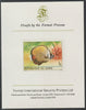 Zaire 1980 Tropical Fish 1c imperf mounted on Format International proof card