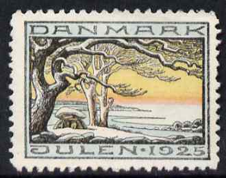 Cinderella - Denmark 1925 Christmas seal unused without gum