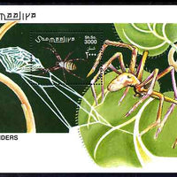 Somalia 2002 Spiders perf m/sheet unmounted mint. Note this item is privately produced and is offered purely on its thematic appeal Michel BL 98