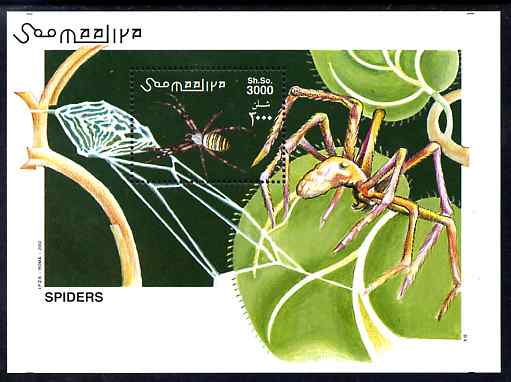 Somalia 2002 Spiders perf m/sheet unmounted mint. Note this item is privately produced and is offered purely on its thematic appeal Michel BL 98