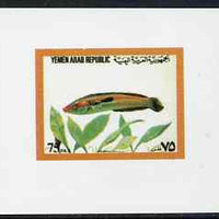 Yemen - Republic 1982 (?) Fish 75f value #1 imperf proof on glossy card unmounted mint