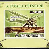 St Thomas & Prince Islands 2009 Dragonflies #3 individual imperf deluxe sheet unmounted mint. Note this item is privately produced and is offered purely on its thematic appeal