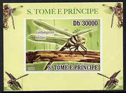 St Thomas & Prince Islands 2009 Dragonflies #3 individual imperf deluxe sheet unmounted mint. Note this item is privately produced and is offered purely on its thematic appeal