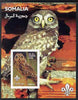 Somalia 2002 Owls #1 imperf s/sheet with Scouts Logo, unmounted mint. Note this item is privately produced and is offered purely on its thematic appeal