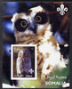 Somalia 2002 Owls #2 imperf s/sheet with Scouts Logo, unmounted mint. Note this item is privately produced and is offered purely on its thematic appeal