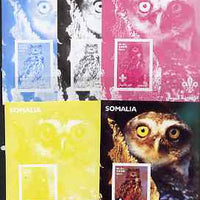 Somalia 2002 Owls #3 s/sheet with Scouts Logo, the set of 5 imperf progressive proofs comprising the 4 individual colours plus all 4-colour composite, unmounted mint