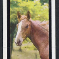 Bernera 1981 Horses imperf souvenir sheet (£1 value) unmounted mint