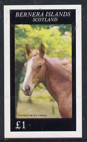 Bernera 1981 Horses imperf souvenir sheet (£1 value) unmounted mint