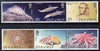 Isle of Man 1994 Europa - Discoveries of Marine Biologist Edward Forbes set of 6 unmounted mint, SG 600-605