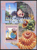 Guinea - Conakry 2009 Lighthouses and Shells #2 perf s/sheet unmounted mint