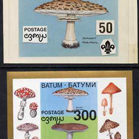 Batum 1994 Fungi - Shaggy Parasol with Scout emblem, original hand-painted atywork on card 90 mm x 65 mm with overlay denominated 50r but used for 300r s/sheet which is included. Note this item is privately produced and is offered……Details Below