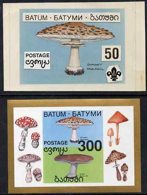 Batum 1994 Fungi - Shaggy Parasol with Scout emblem, original hand-painted atywork on card 90 mm x 65 mm with overlay denominated 50r but used for 300r s/sheet which is included. Note this item is privately produced and is offered……Details Below