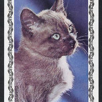 Equatorial Guinea 1978 Domestic Cats 400ek imperf m/sheet (Mixed Breed) unmounted mint