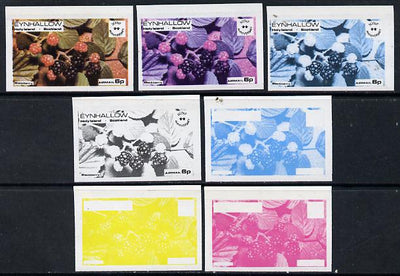 Eynhallow 1974 Fruit (Scout Anniversary) 6p (Blackberry) set of 7 imperf progressive colour proofs comprising the 4 individual colours plus 2, 3 and all 4-colour composites unmounted mint