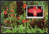 Jersey 2004 Jersey Orchids (5th series) perf m/sheet unmounted mint, SG MS1149