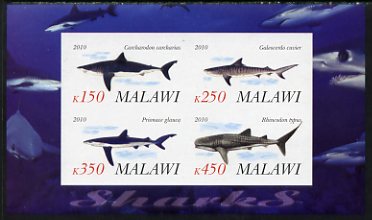 Malawi 2010 Sharks imperf sheetlet containing 4 values unmounted mint