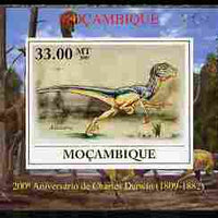 Mozambique 2009 200th Birth Anniversary of Charles Darwin #04 individual imperf deluxe sheet unmounted mint. Note this item is privately produced and is offered purely on its thematic appeal