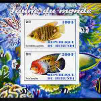 Burundi 2011 Fauna of the World - Fish #1 (Gourami & Vieja) imperf sheetlet containing 2 values unmounted mint