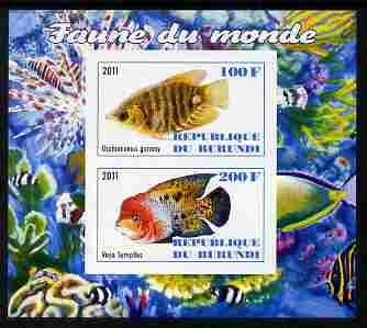 Burundi 2011 Fauna of the World - Fish #1 (Gourami & Vieja) imperf sheetlet containing 2 values unmounted mint