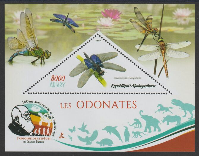 Madagascar 2019 Darwin 160th Anniversary of Publication of The Origin of Species - Dragon Flies #4 perf deluxe sheet containing one triangular value unmounted mint